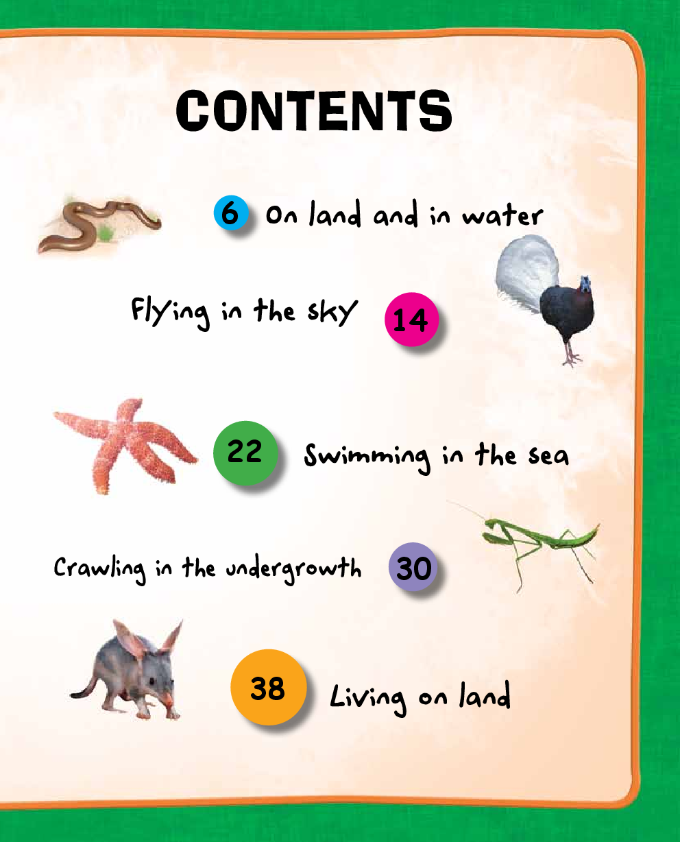 101 Facts : Amazing Creatures - Page 5