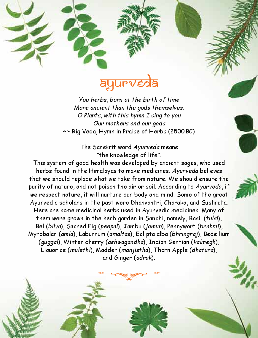 Caring for Nature : King Ashoka and the garden of herbs (A lesson from history about trees and plants and their benefits) - Page 5