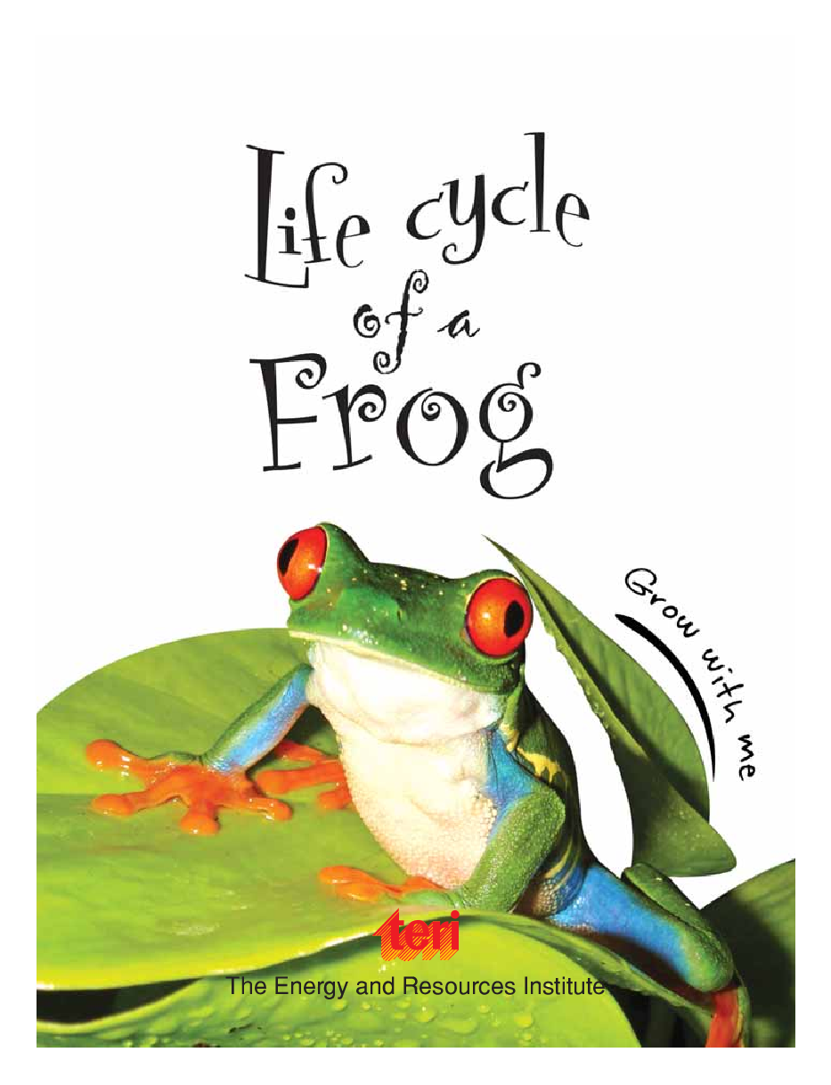 Circle of Life : Life Cycle of a Frog - Page 3