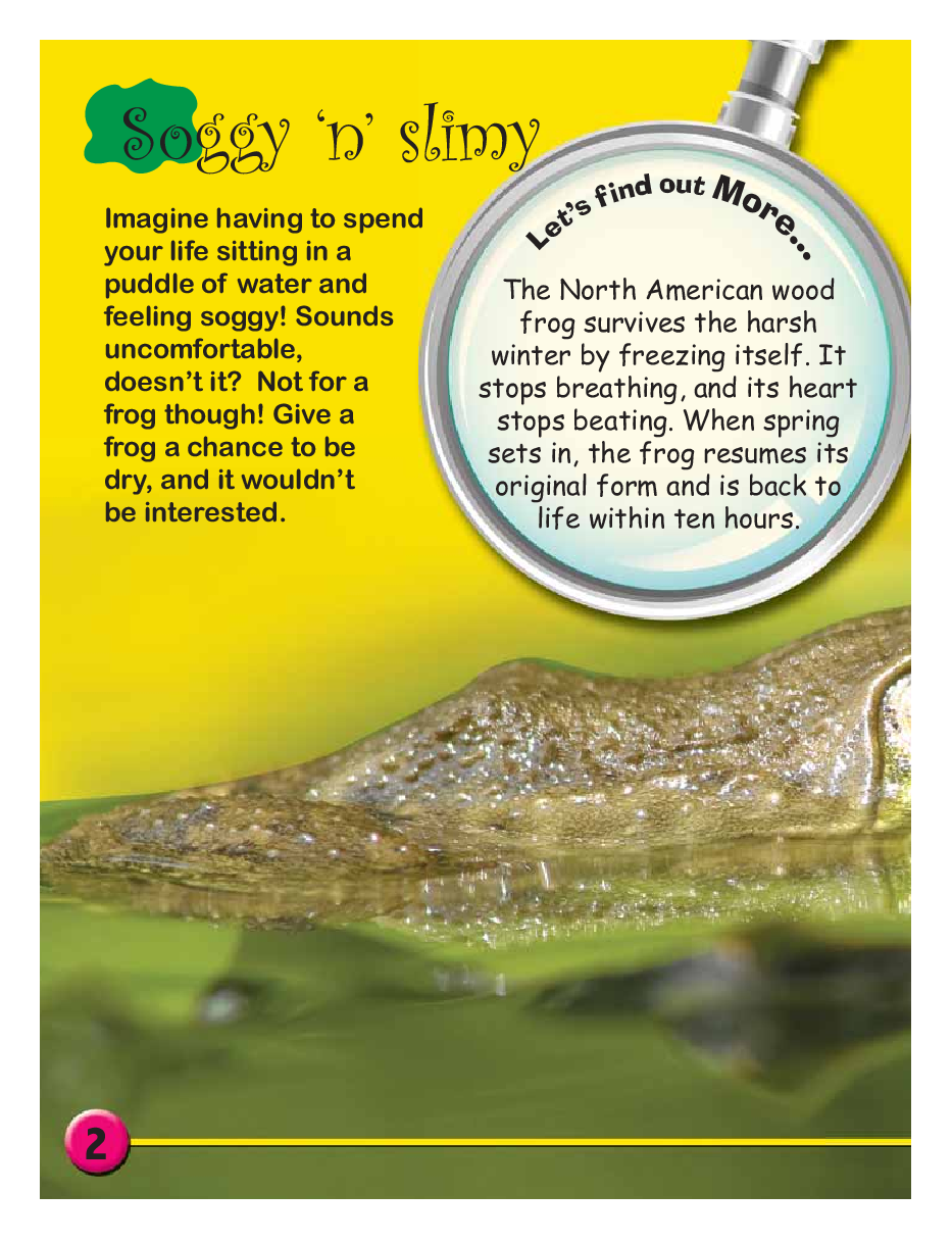 Circle of Life : Life Cycle of a Frog - Page 4