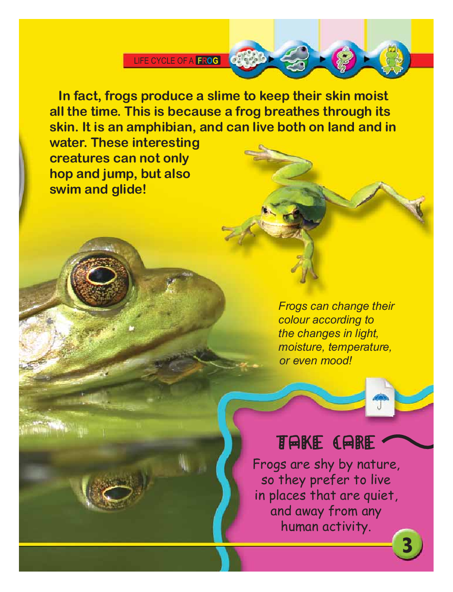 Circle of Life : Life Cycle of a Frog - Page 5