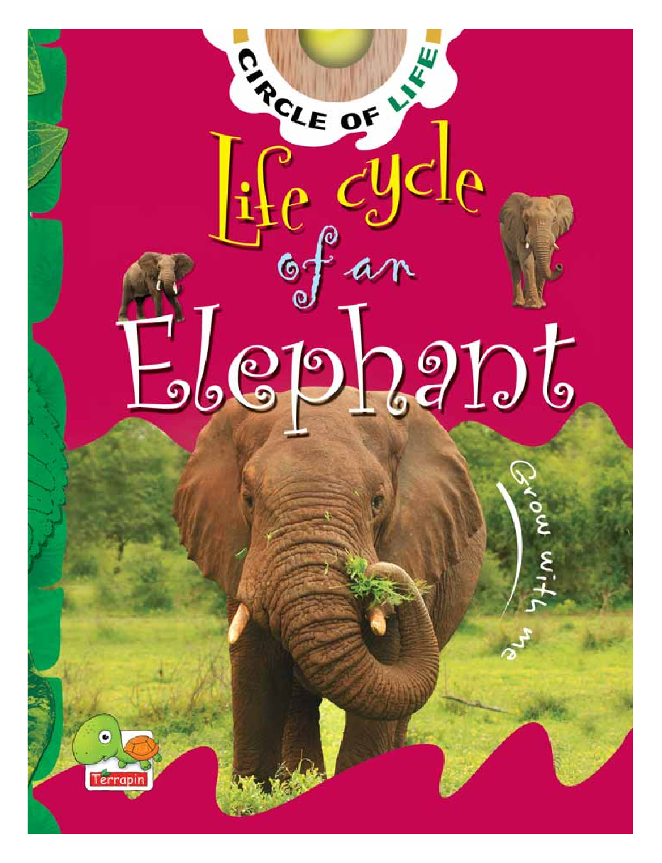 Circle of Life : Life Cycle of an Elephant - Page 1