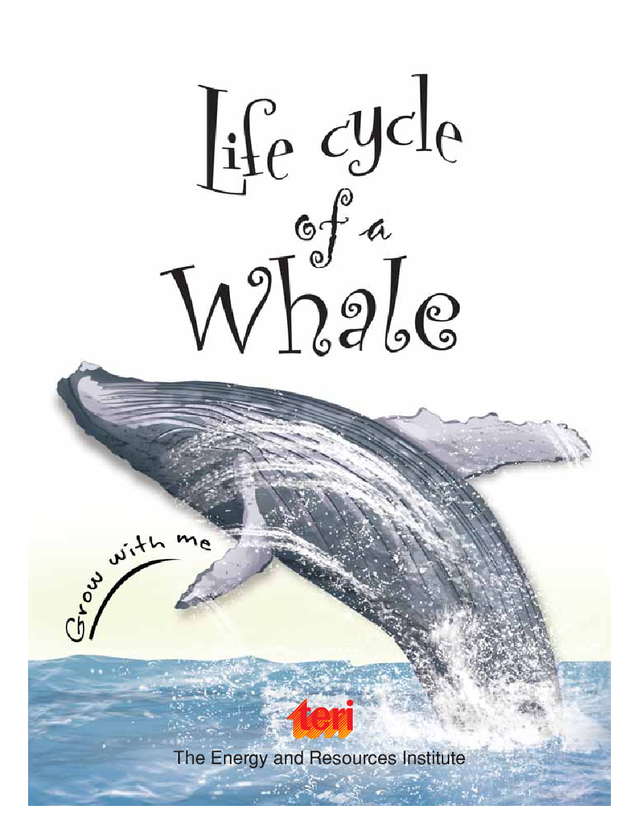 Circle of Life : Life Cycle of a Whale - Page 3