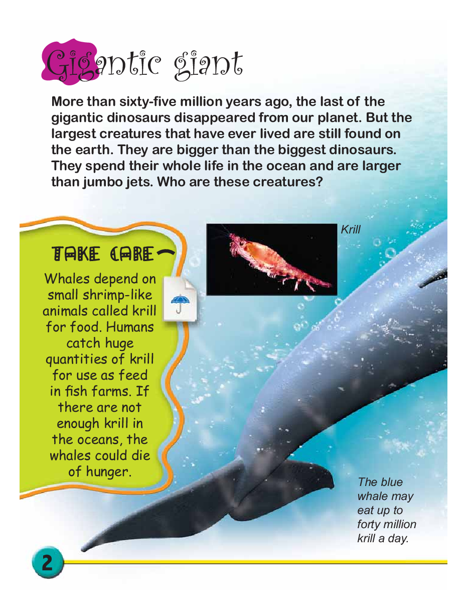 Circle of Life : Life Cycle of a Whale - Page 4