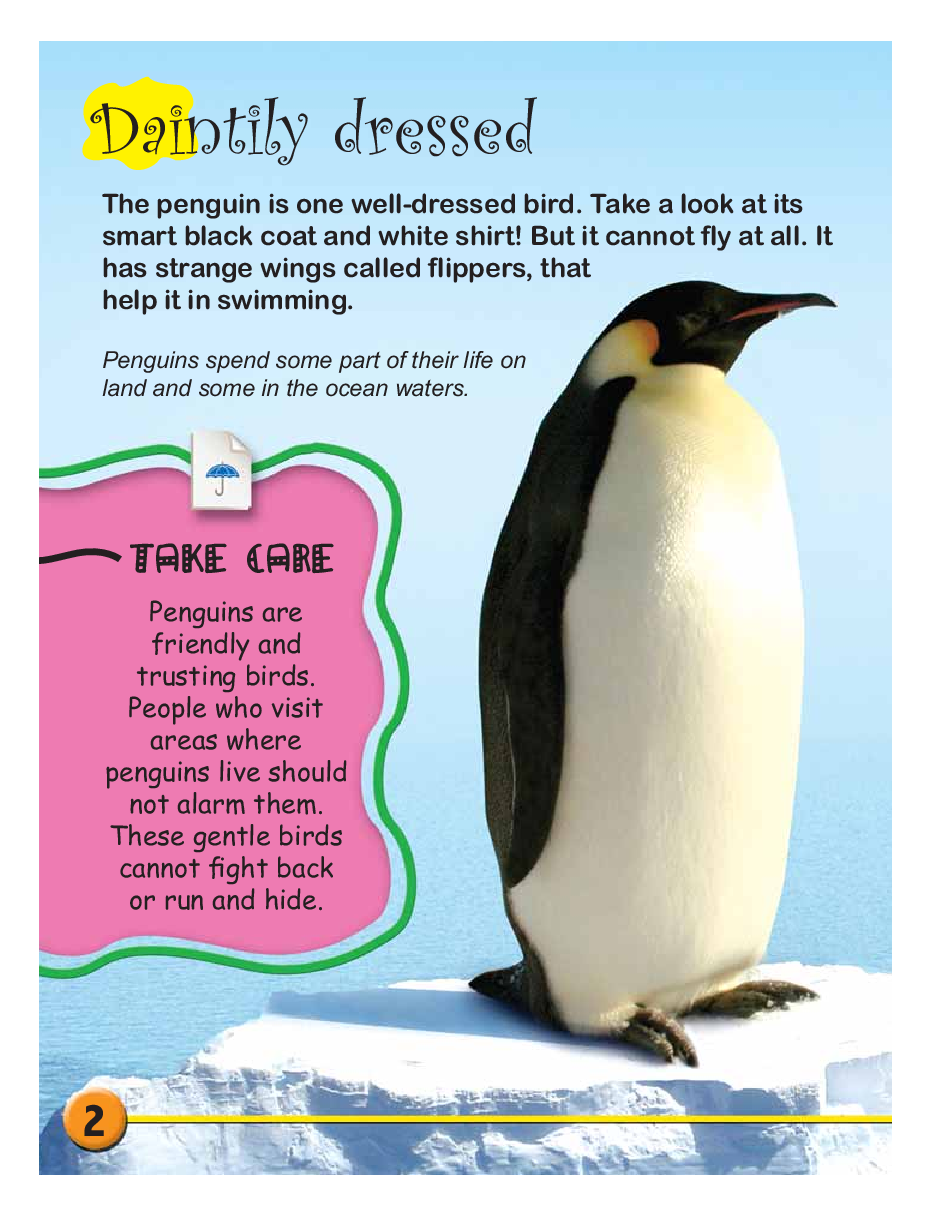 Circle of Life : Life Cycle of a Penguin - Page 4