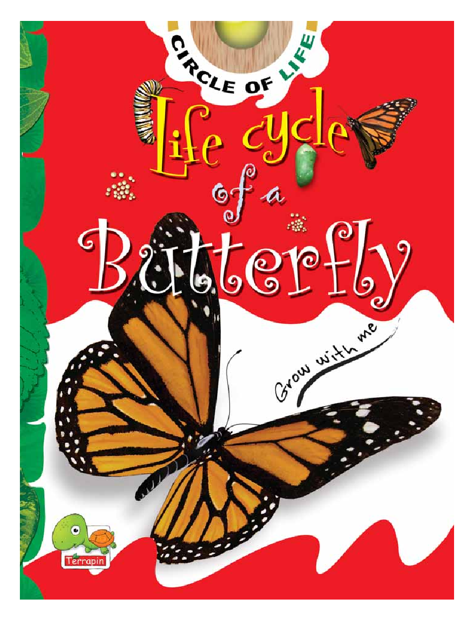 Circle of Life: Life Cycle of a Butterfly - Page 1
