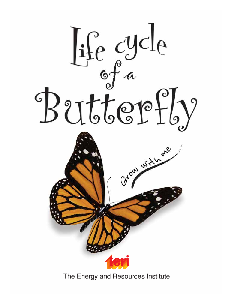Circle of Life: Life Cycle of a Butterfly - Page 3