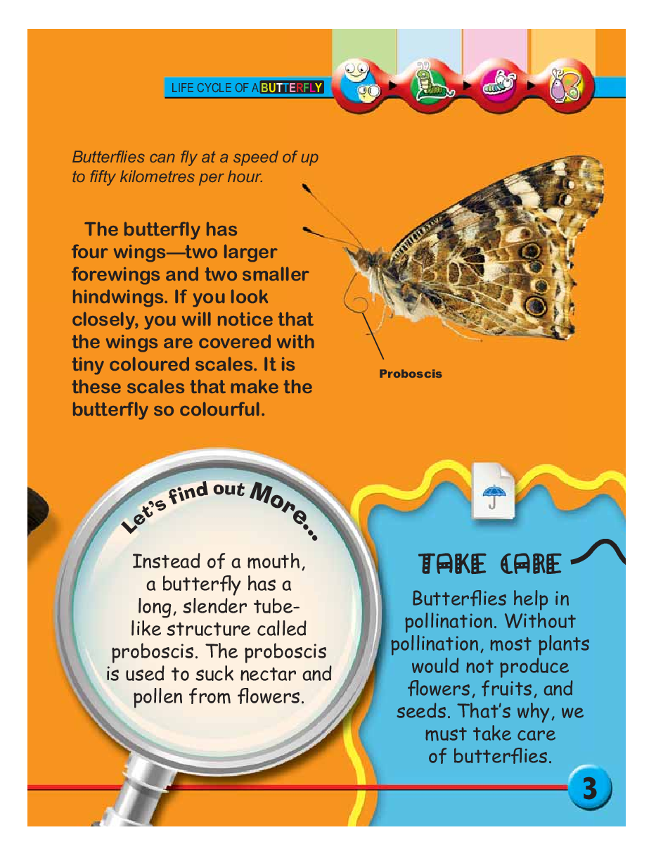 Circle of Life: Life Cycle of a Butterfly - Page 5
