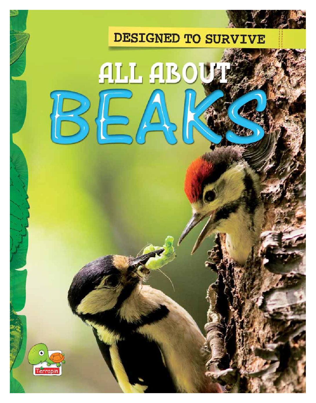 Designed to Survive : All About Beaks - Page 1