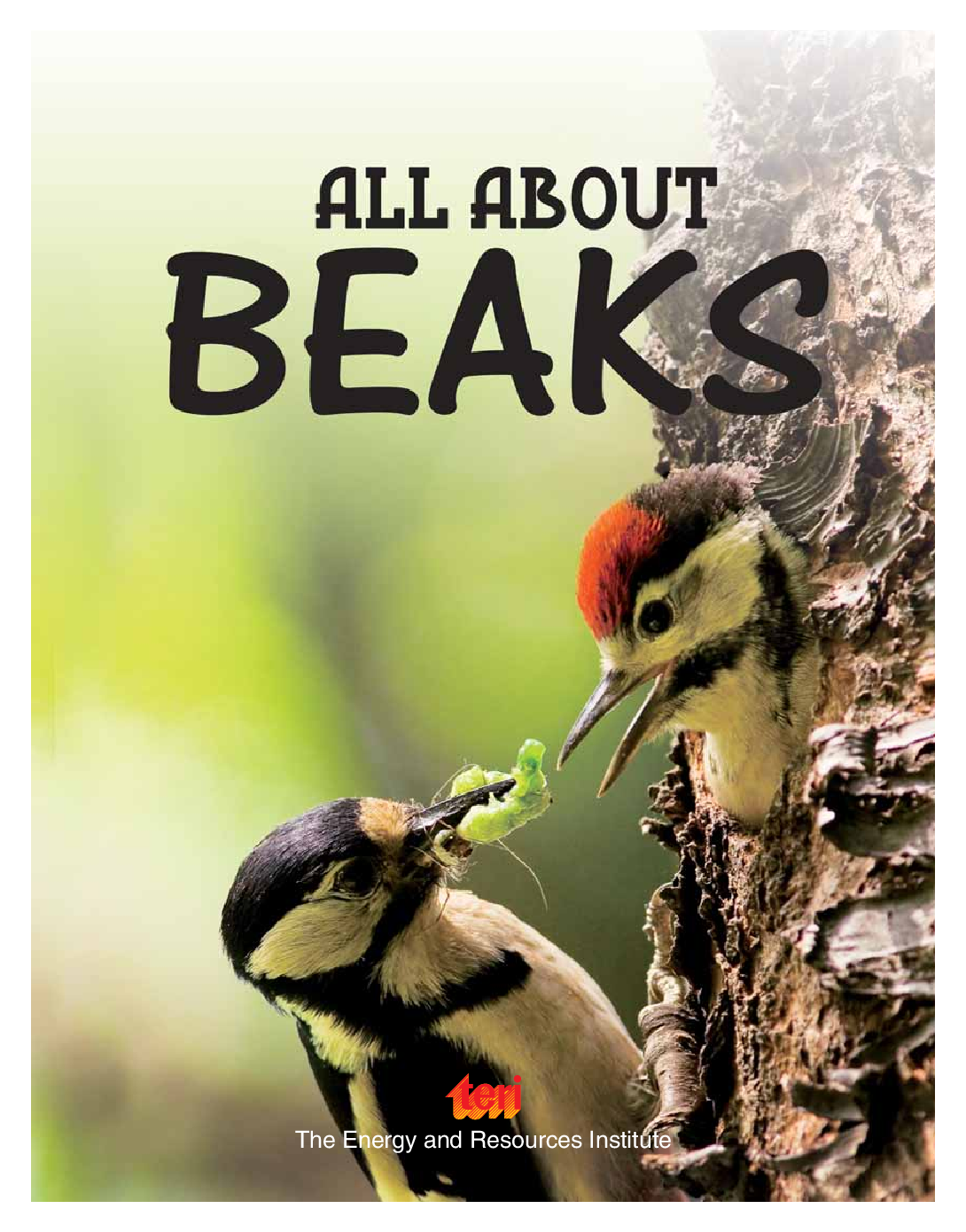 Designed to Survive : All About Beaks - Page 3