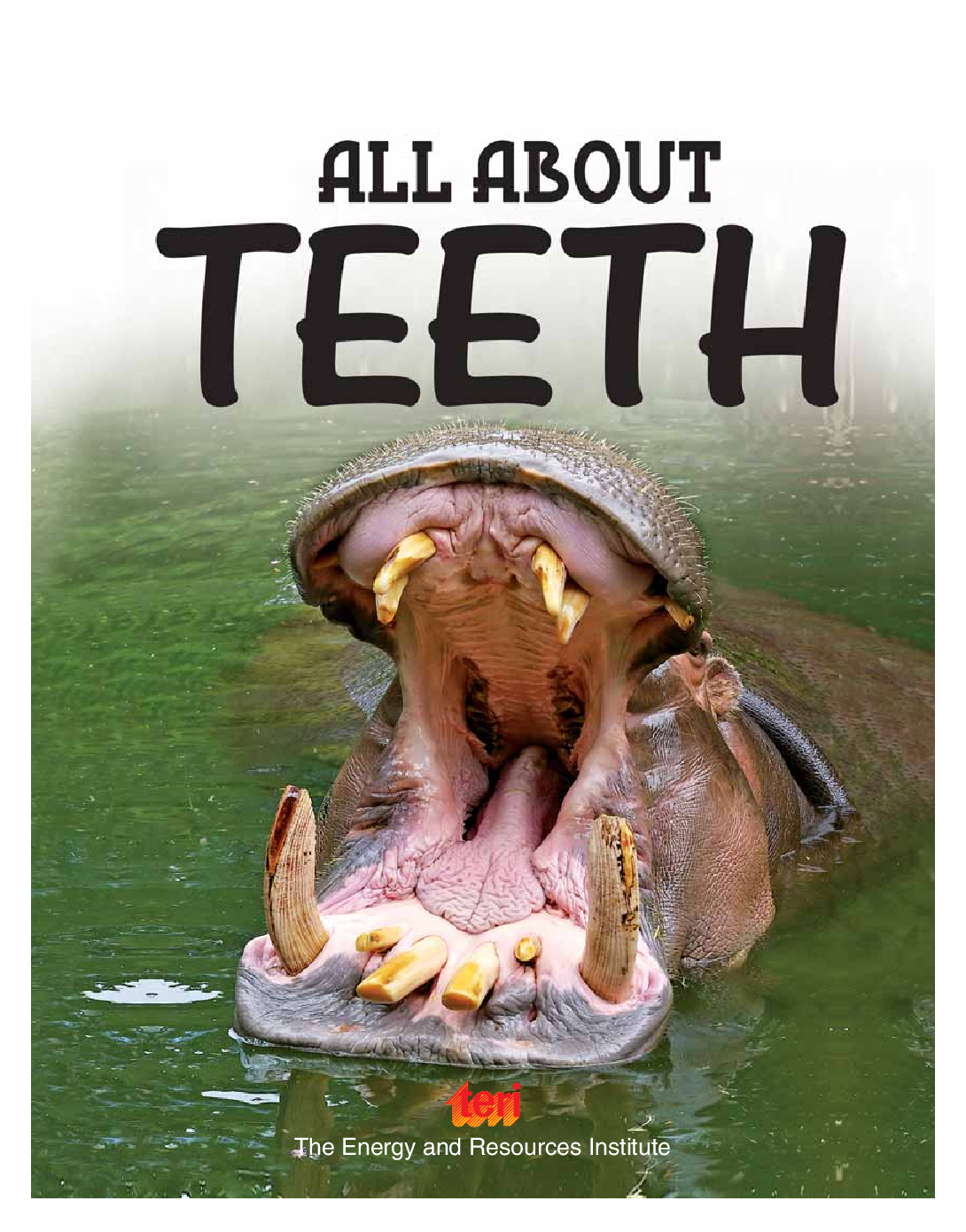 Designed to Survive : All About Teeth - Page 3