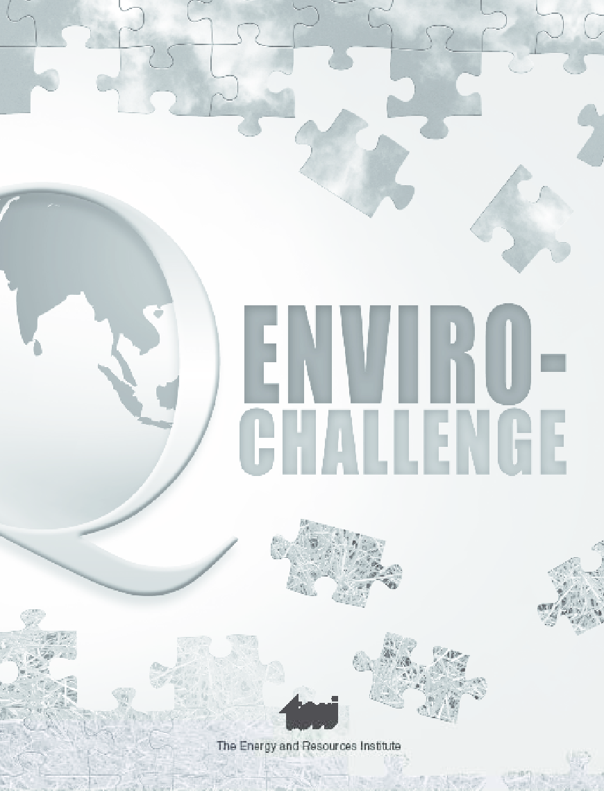 Enviro-Challenge - Page 2