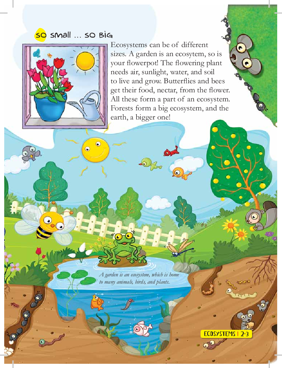 Green Genius Guide : What are Ecosystems, Biomes, Ecotones, and more - Page 5
