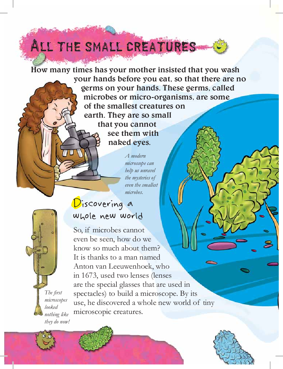 Green Genius Guide : What are Bacteria, Viruses, Fungi, and more - Page 4