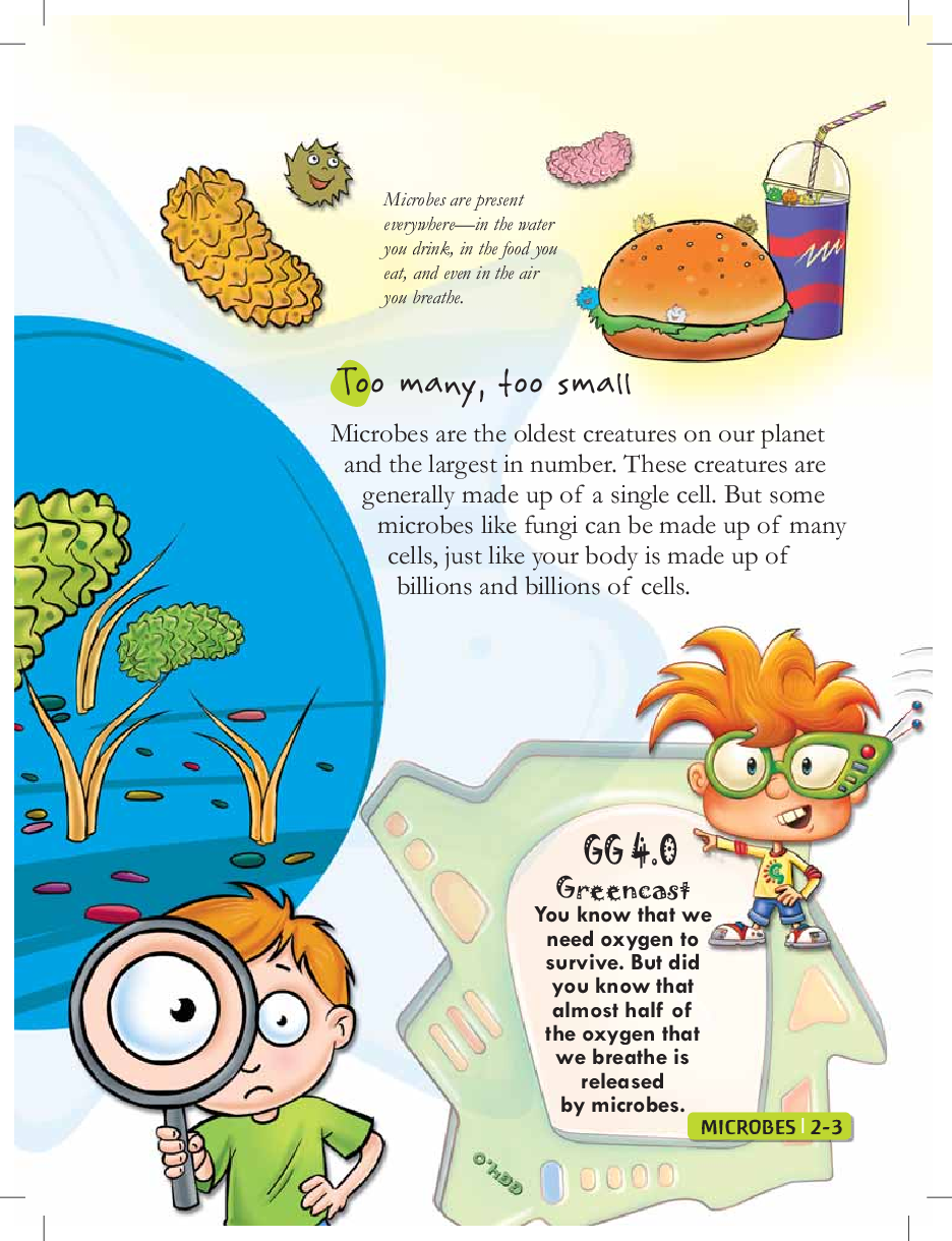 Green Genius Guide : What are Bacteria, Viruses, Fungi, and more - Page 5