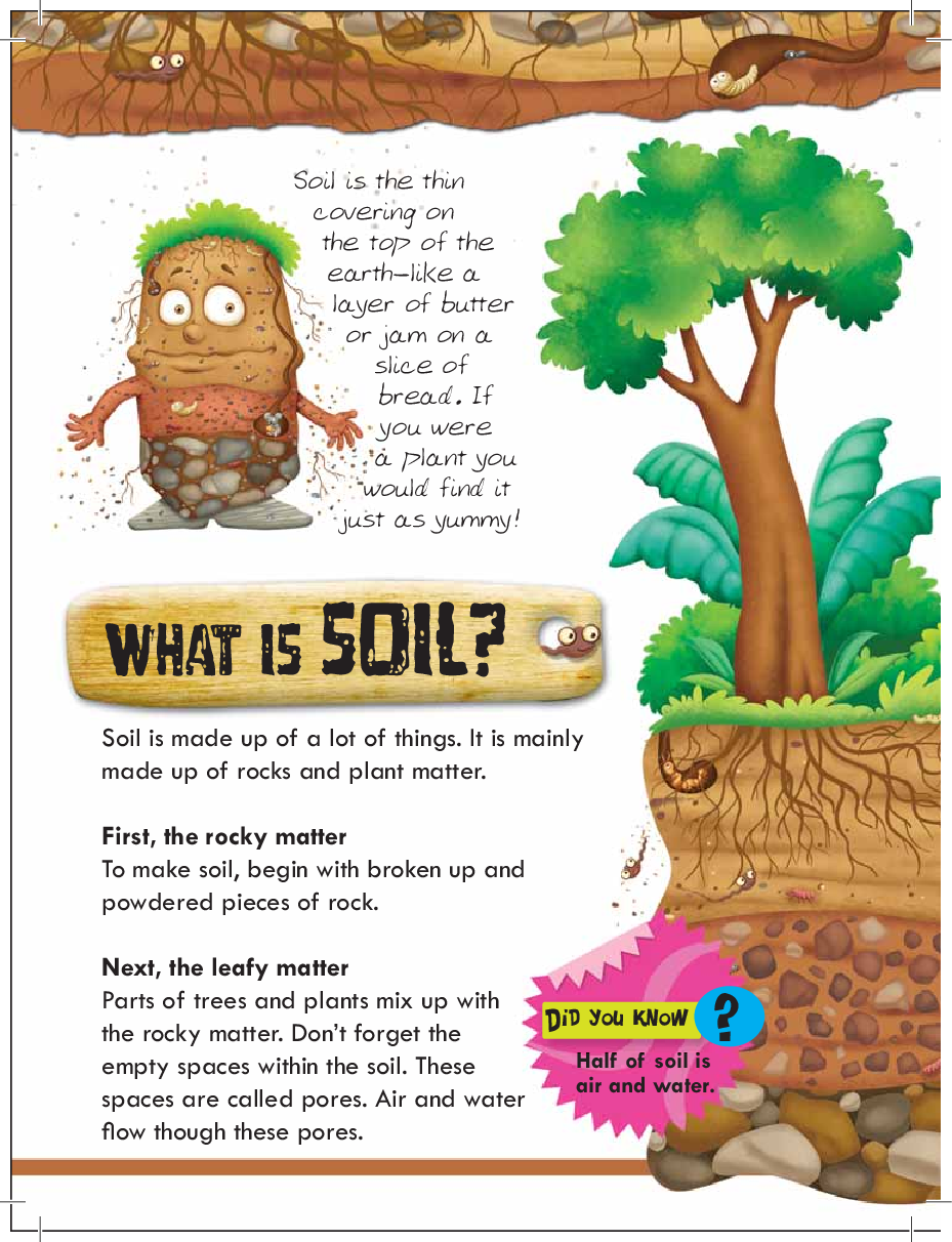 Know All About Soil : The Precious Earth! - Page 4