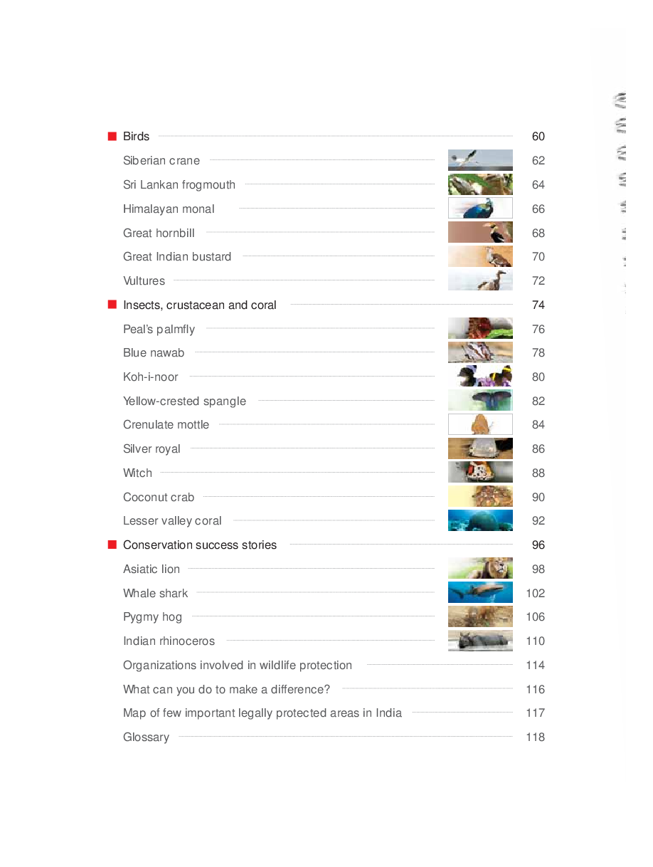 Protected Animals of India - Page 5