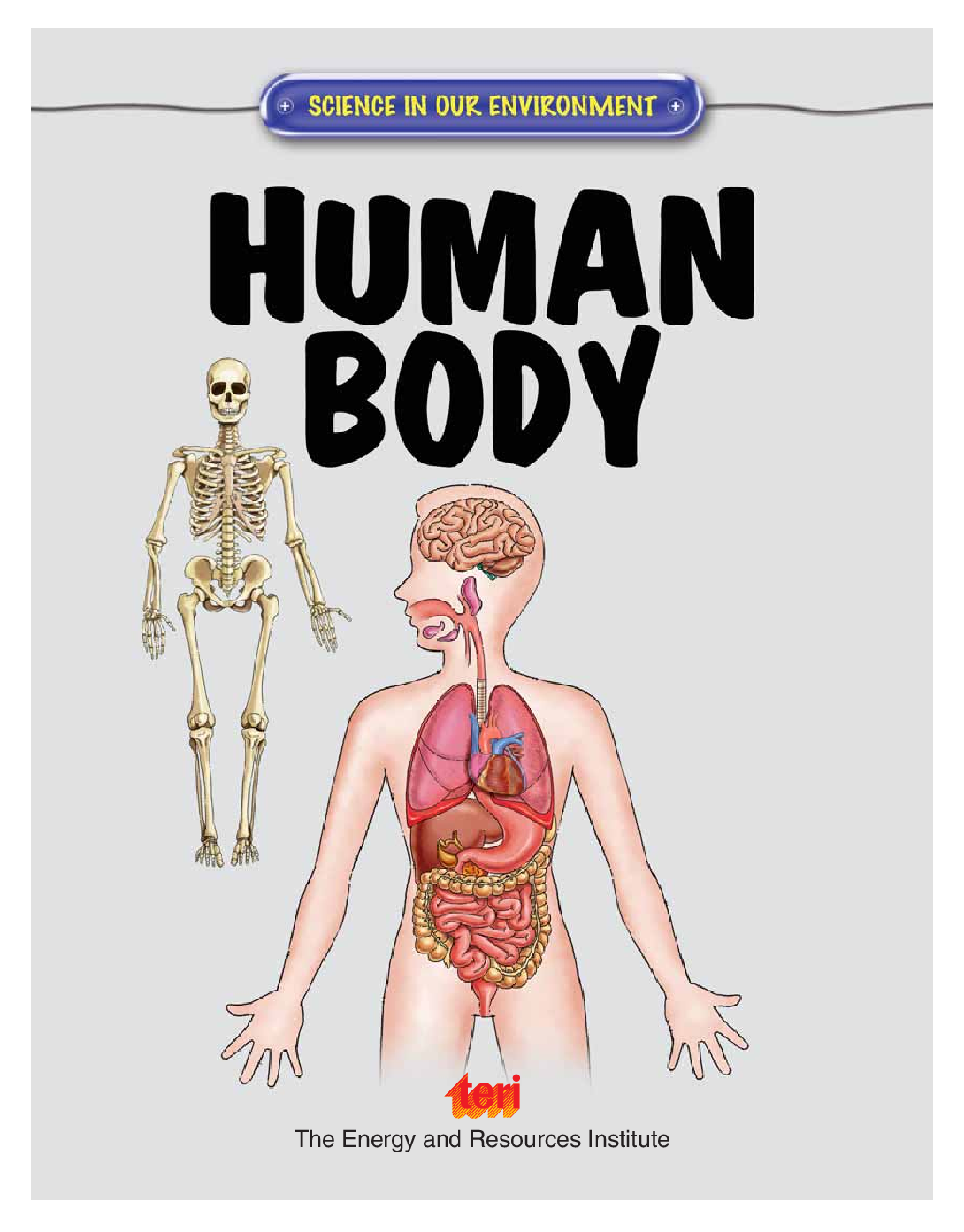 Science in our Environment : Human Body - Page 4