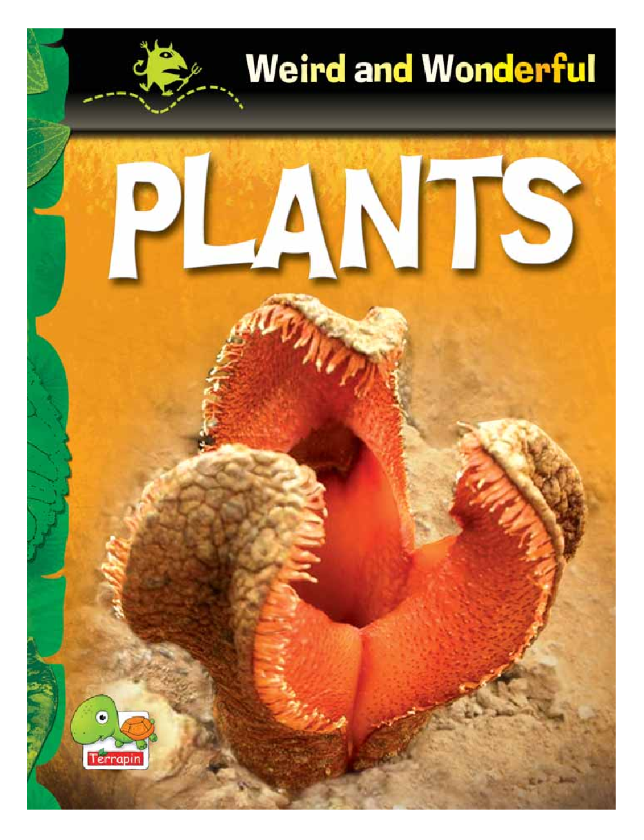 Weird and Wonderful : Plants - Page 1