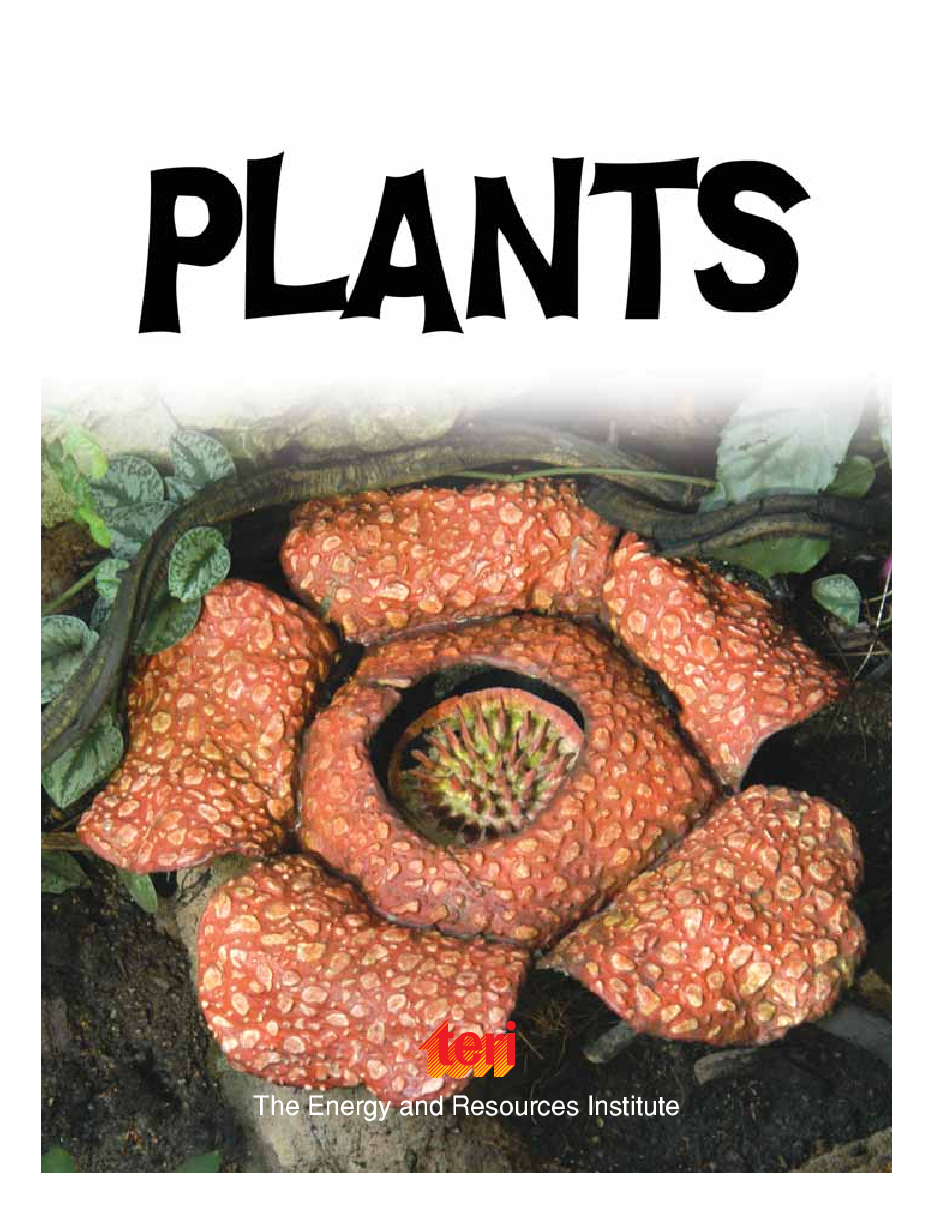 Weird and Wonderful : Plants - Page 3