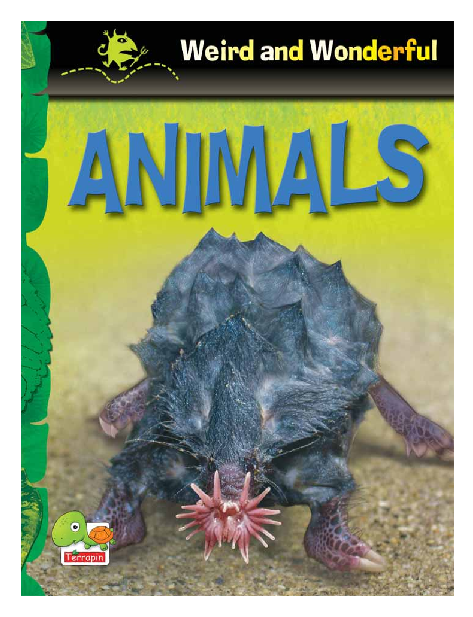 Weird and Wonderful : Animals - Page 1