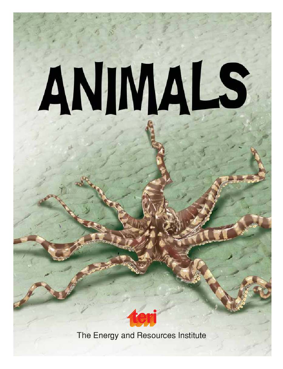 Weird and Wonderful : Animals - Page 3