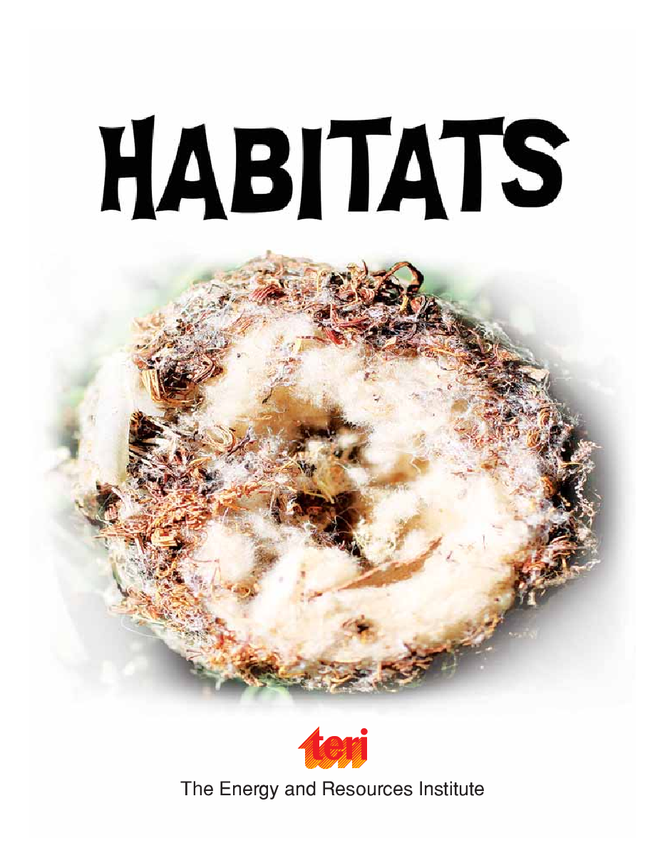 Weird and Wonderful : Habitats - Page 3