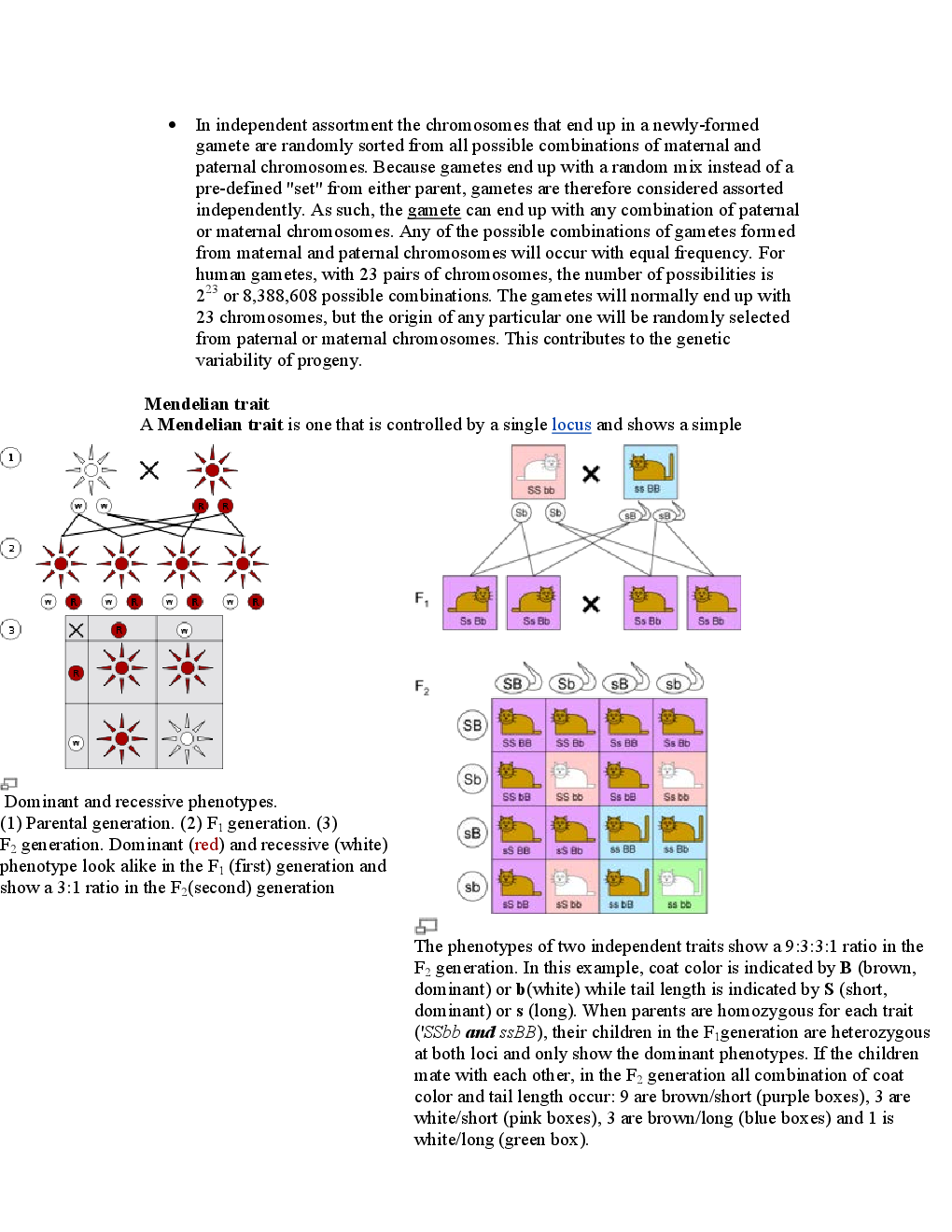 GATE Study Material Molecular Biology (Biotechnology Engineering) - Page 4
