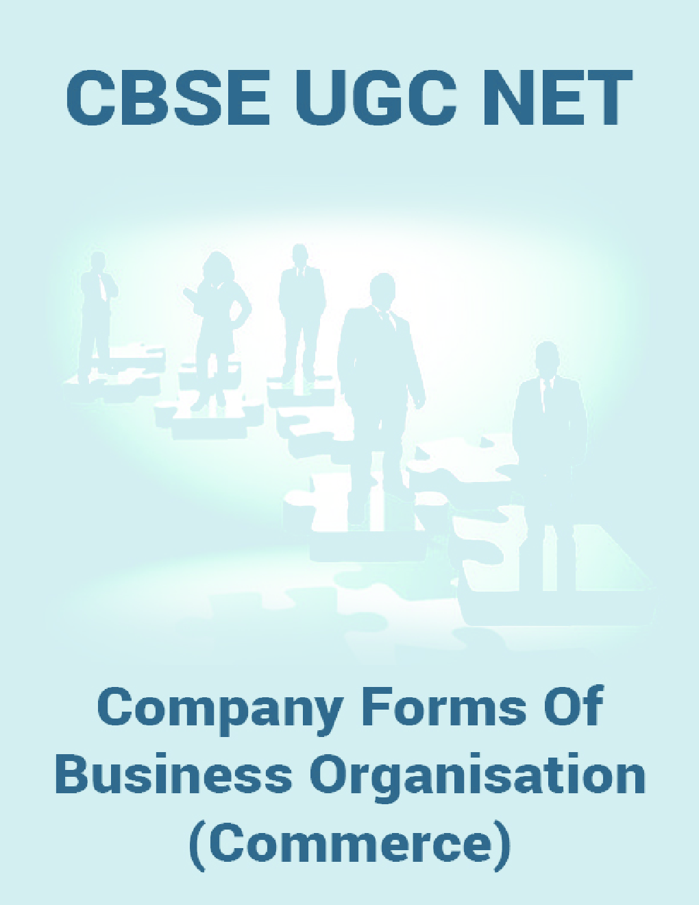 CBSE UGC NET : Company Forms Of Business Organisation (Commerce) - Page 1
