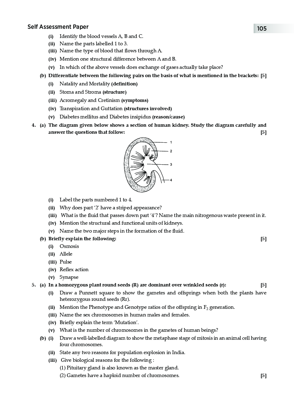 Icse question papers for class 8 image