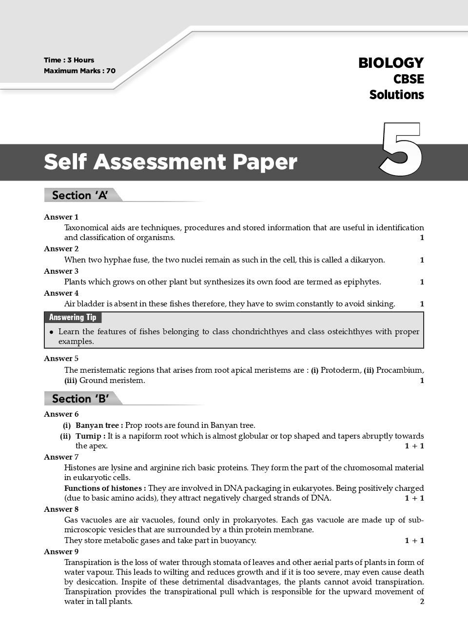 Essay for class 11 cbse picture
