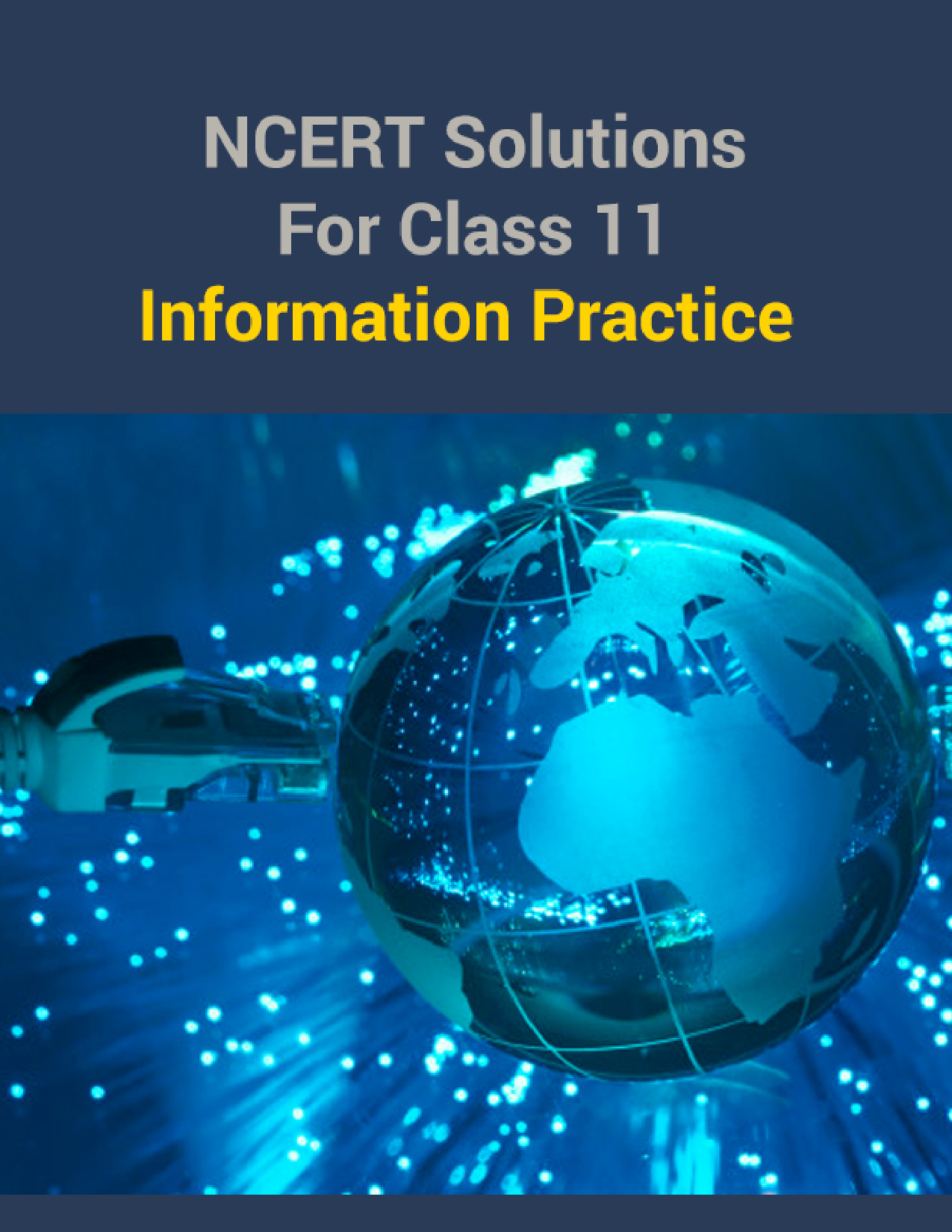 NCERT Solutions For Class 11 Information Practice - Page 1