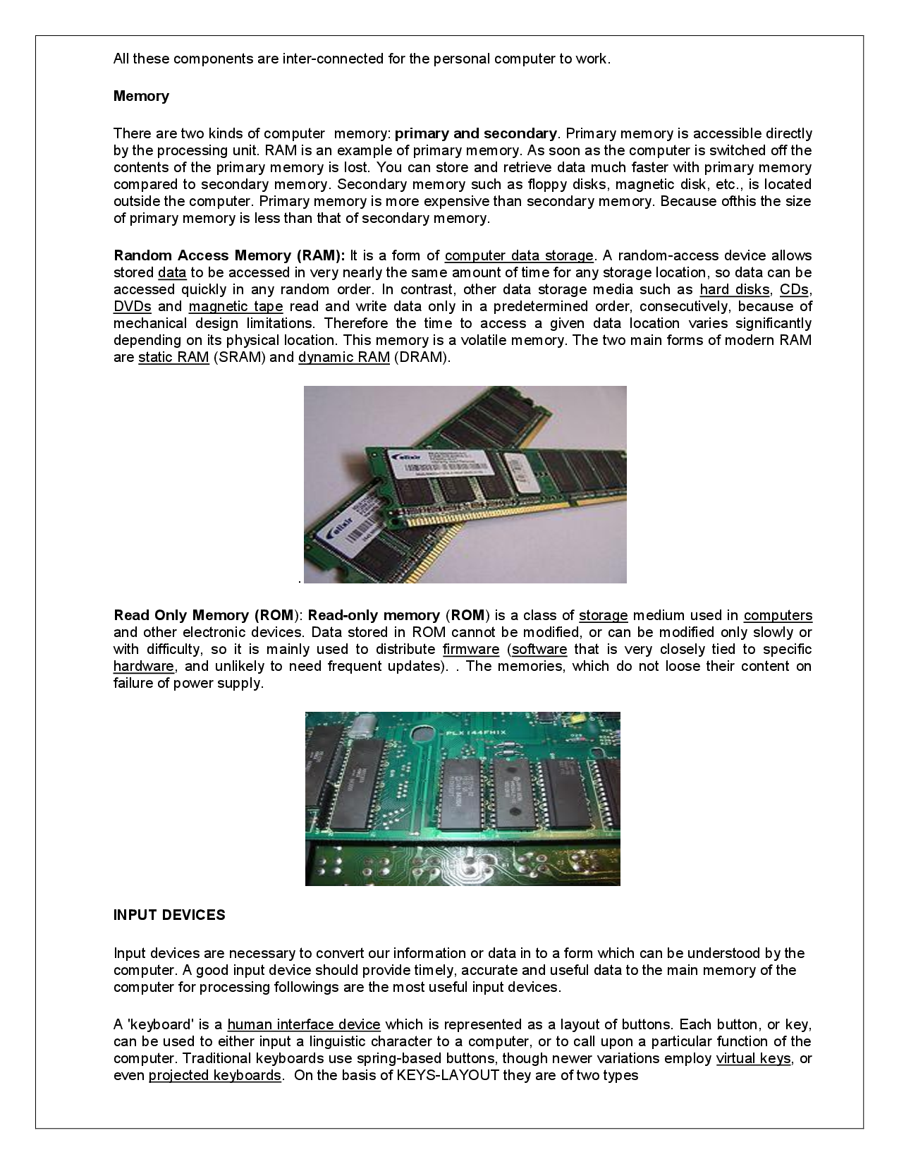 NCERT Solutions For Class 11 Information Practice - Page 4
