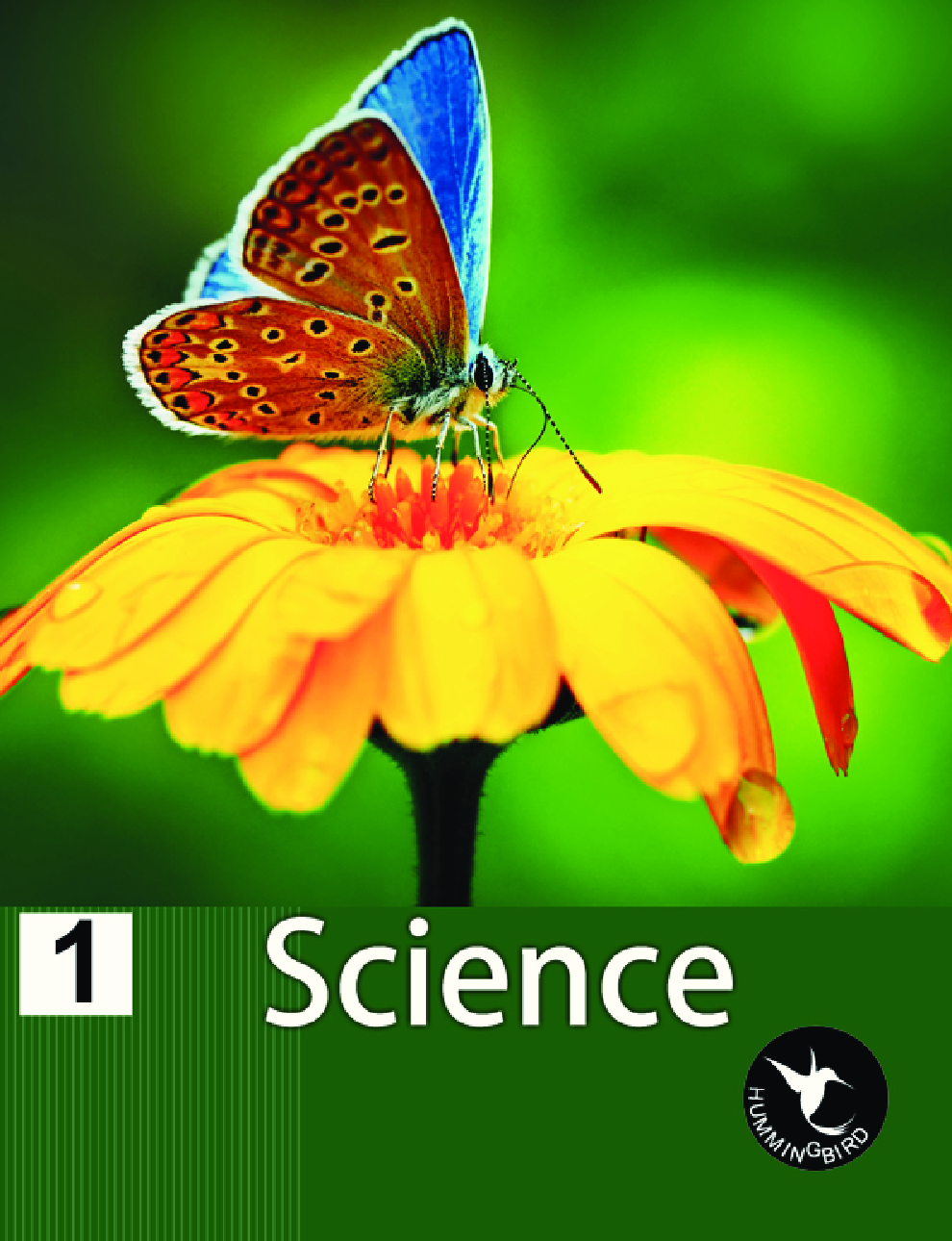 Holy Faith Humming Bird Science-1 - Page 1