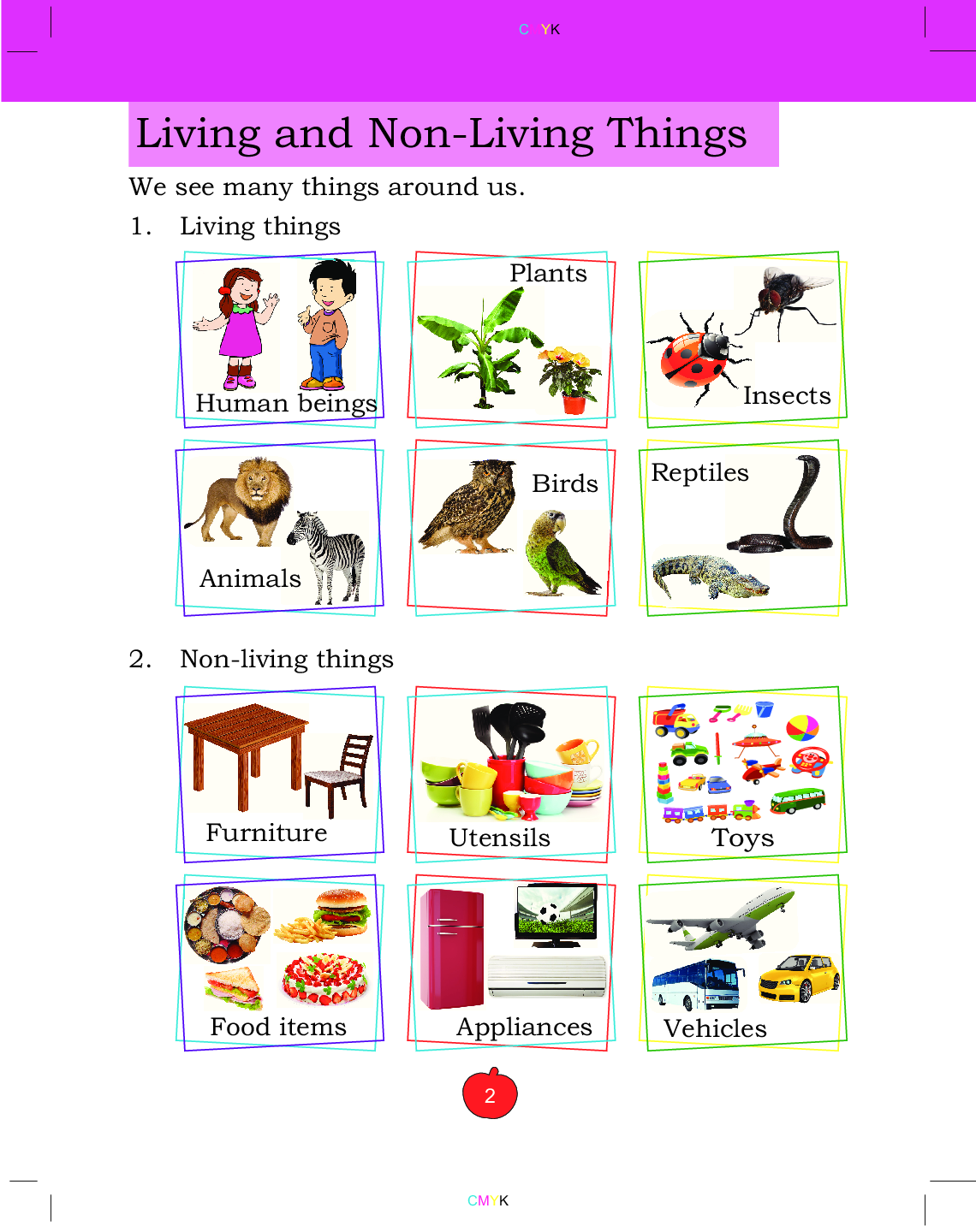 Humming Bird Science Intro    - Page 3