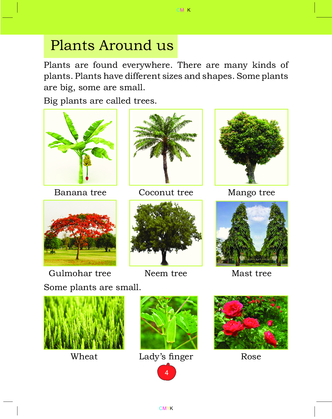 Humming Bird Science Intro    - Page 5