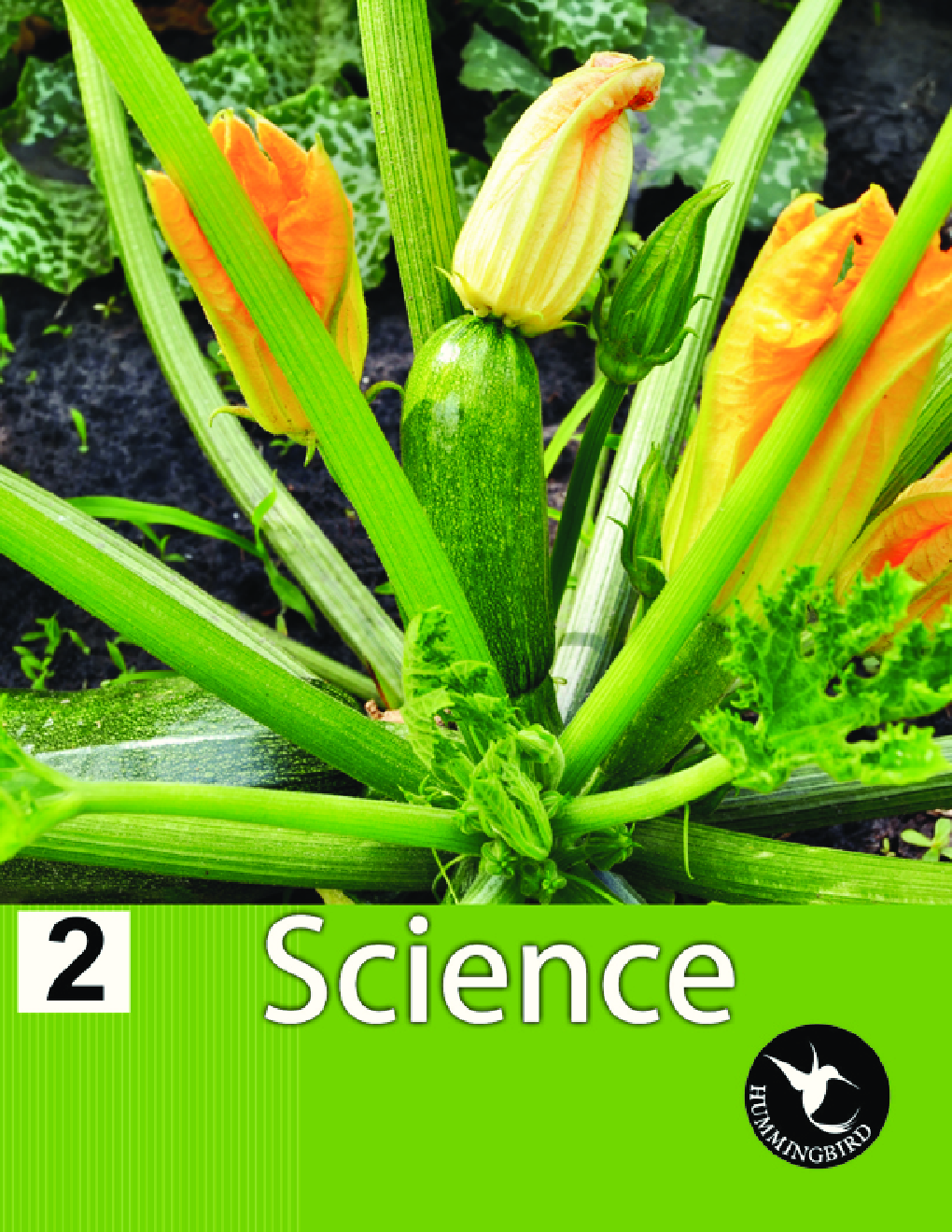 Humming Bird Science-2    - Page 1