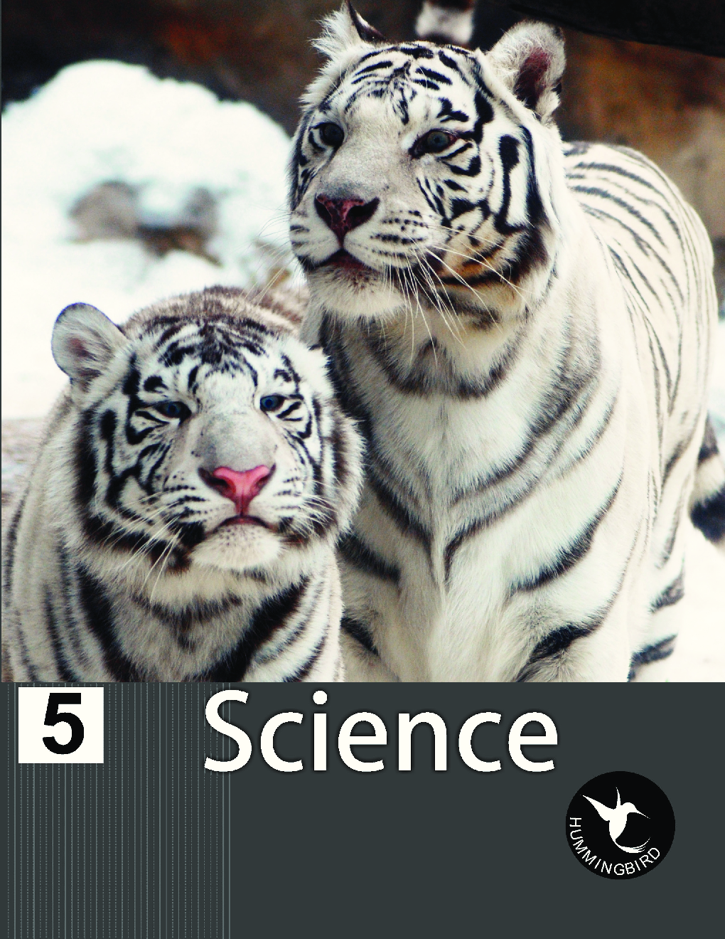 Humming Bird Science-5    - Page 1