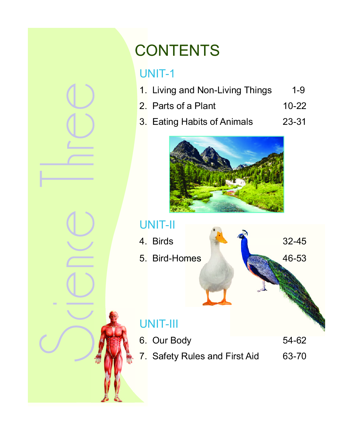 Humming Bird Science-3    - Page 4