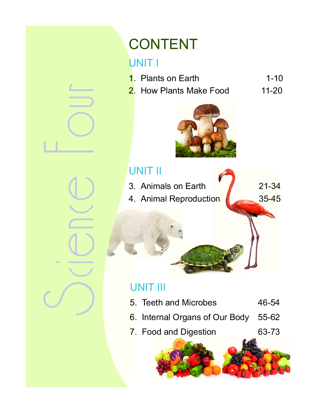 Humming Bird Science-4    - Page 4