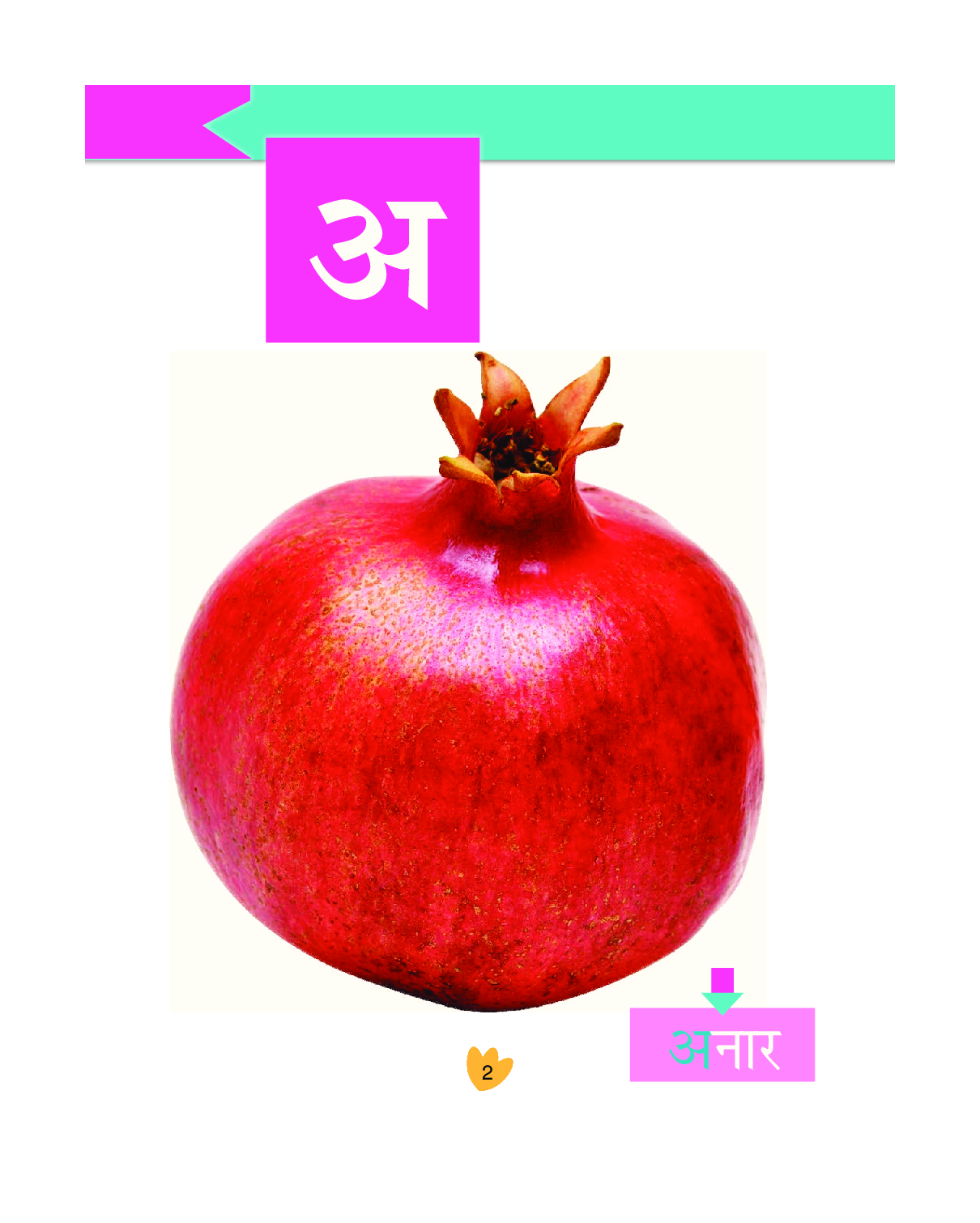 Humming Bird अक्षर ज्ञान     - Page 3