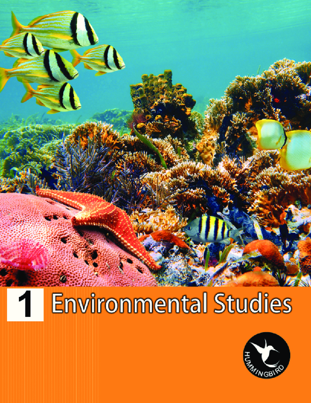 Humming Bird Environmental Studies-1    - Page 1