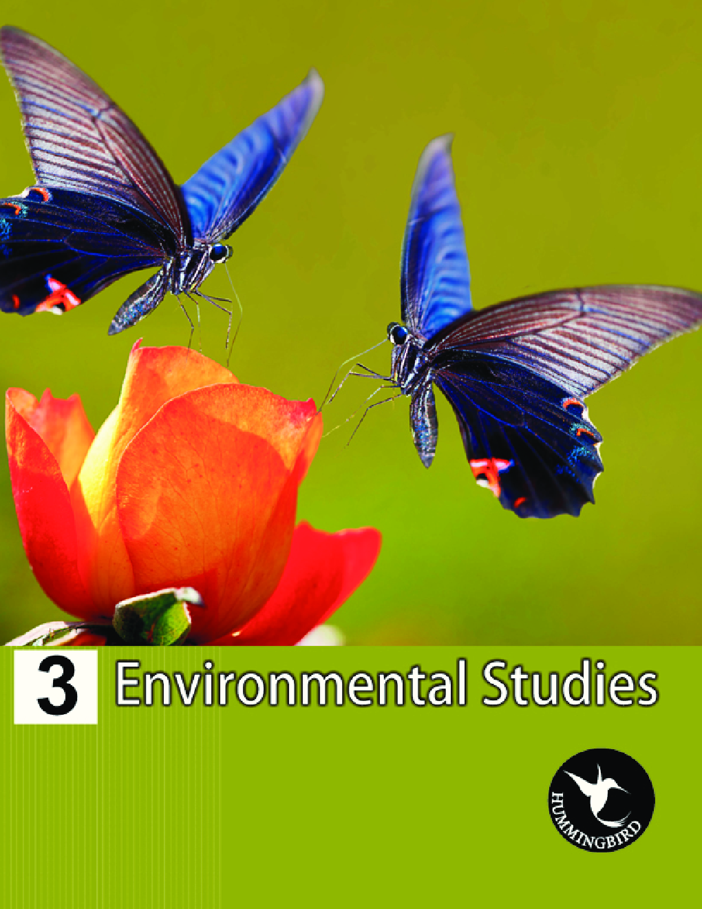 Humming Bird Environmental Studies-3    - Page 1
