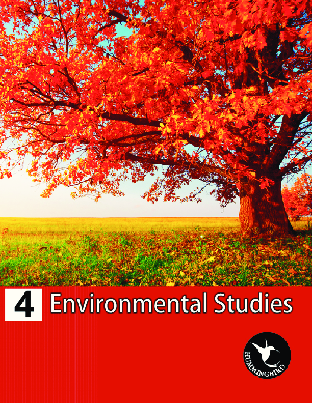 Humming Bird Environmental Studies-4    - Page 1