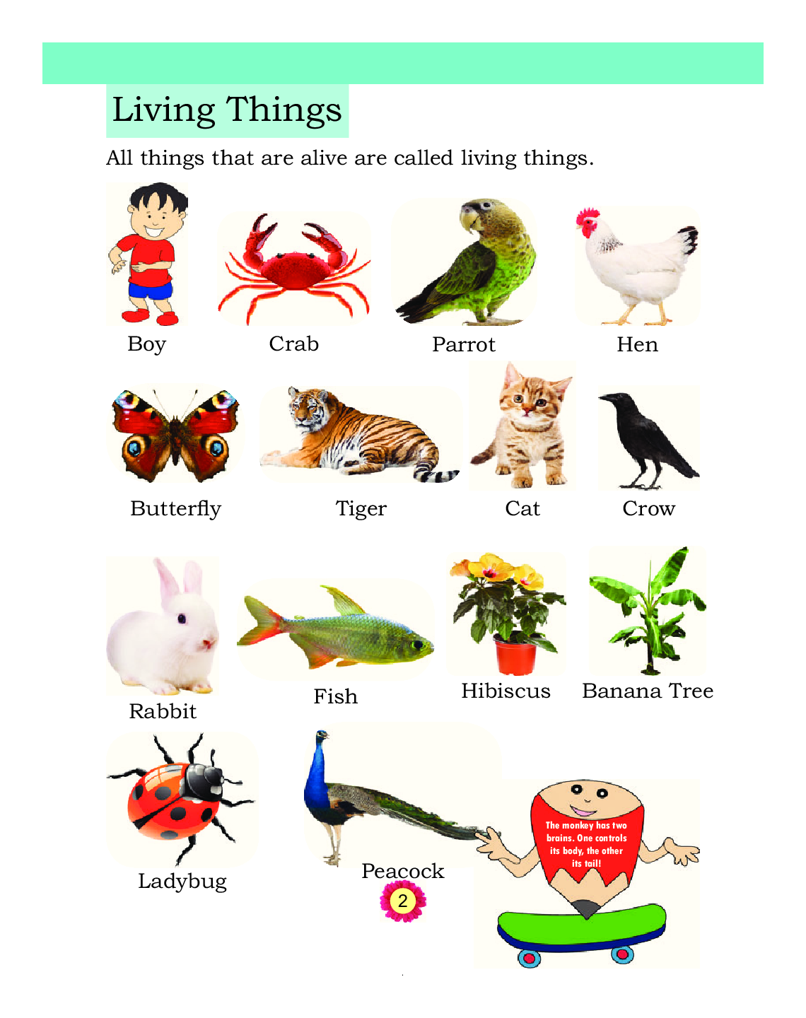 Humming Bird General Knowledge-A    - Page 3