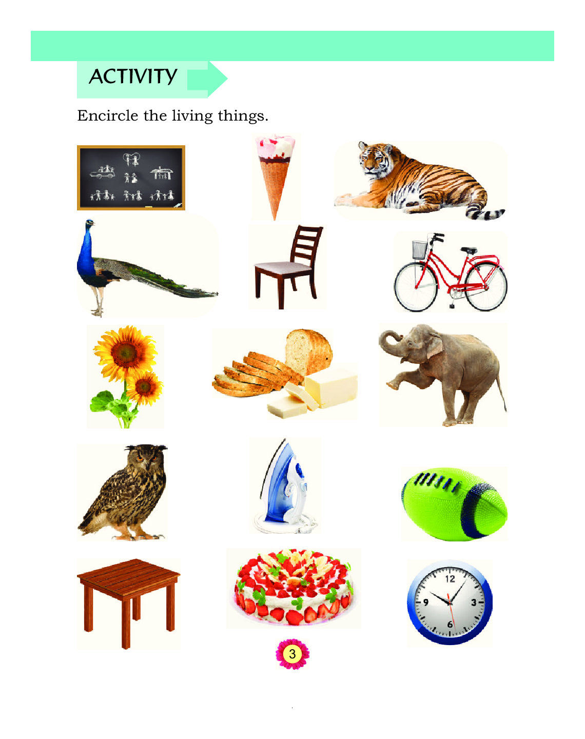 Humming Bird General Knowledge-A    - Page 4