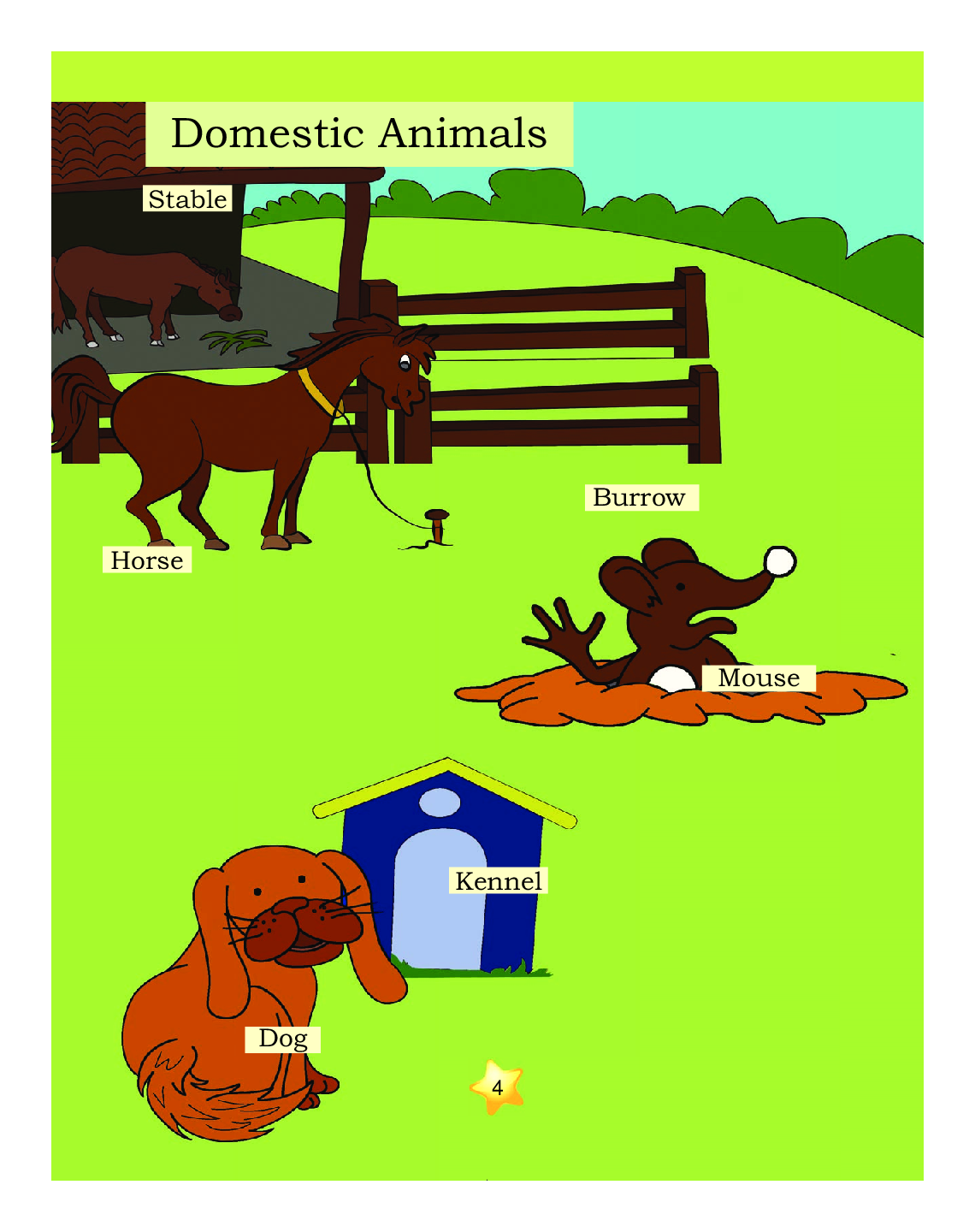 Humming Bird General Knowledge-B    - Page 5