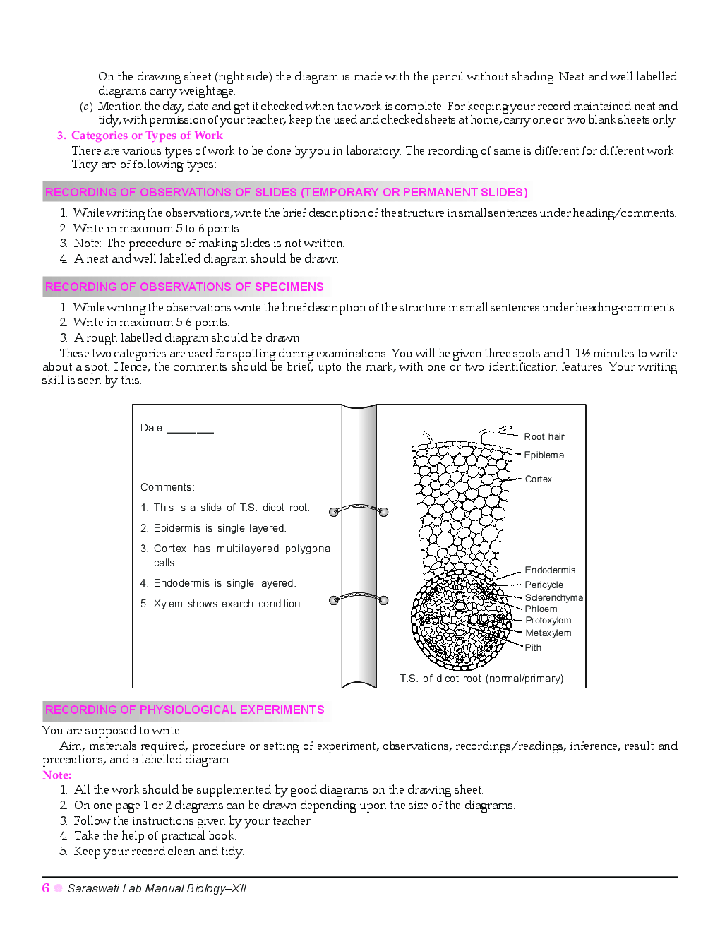 Experience In Web Reader