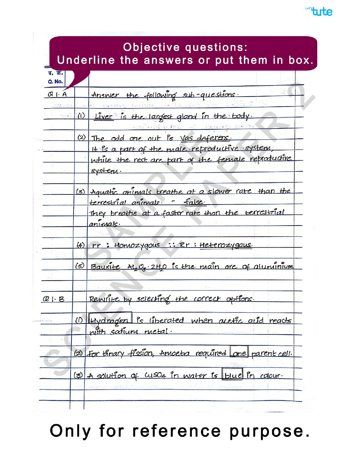 Examination Tips And Strategies - Science Paper Presenation Tips - Page 4