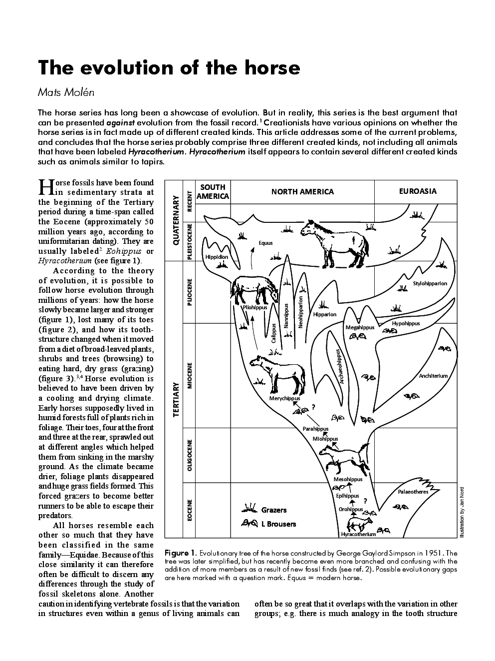 Evolution Of The Horses - Page 2